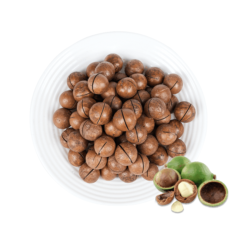 5A النكهة الأصلية مكسرات المكاديميا